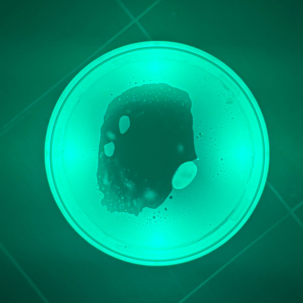 LED-Leuchtinseln 4er Set