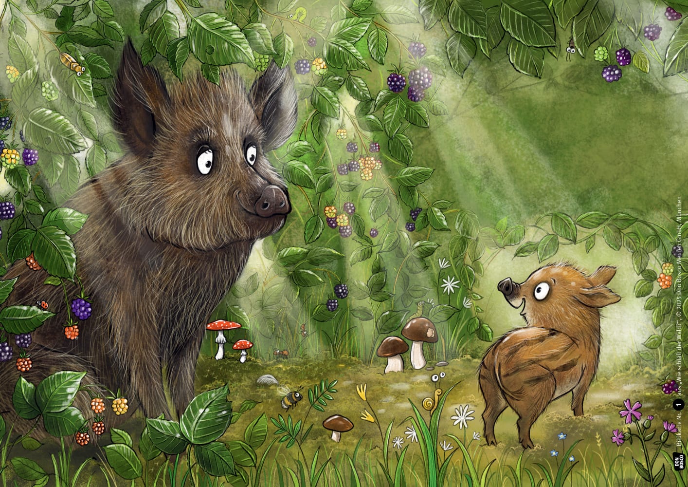 Wie schläft der Wald? Kamishibai Bildkartenset