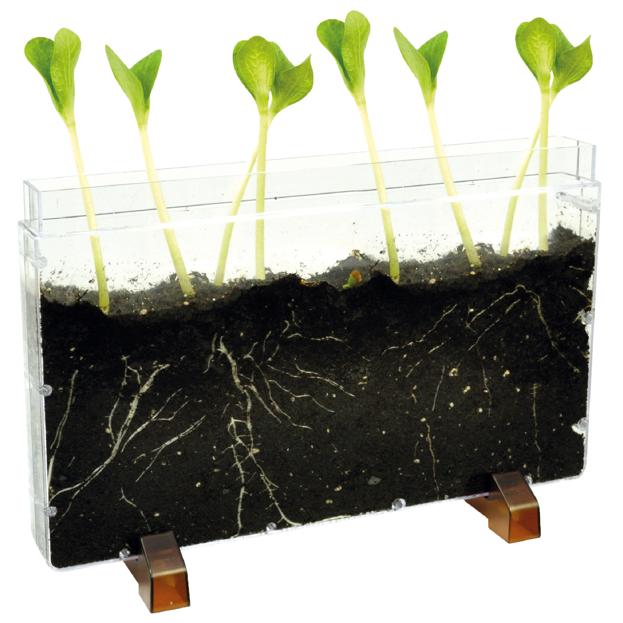 Wurzelhaus & Wurmfarm