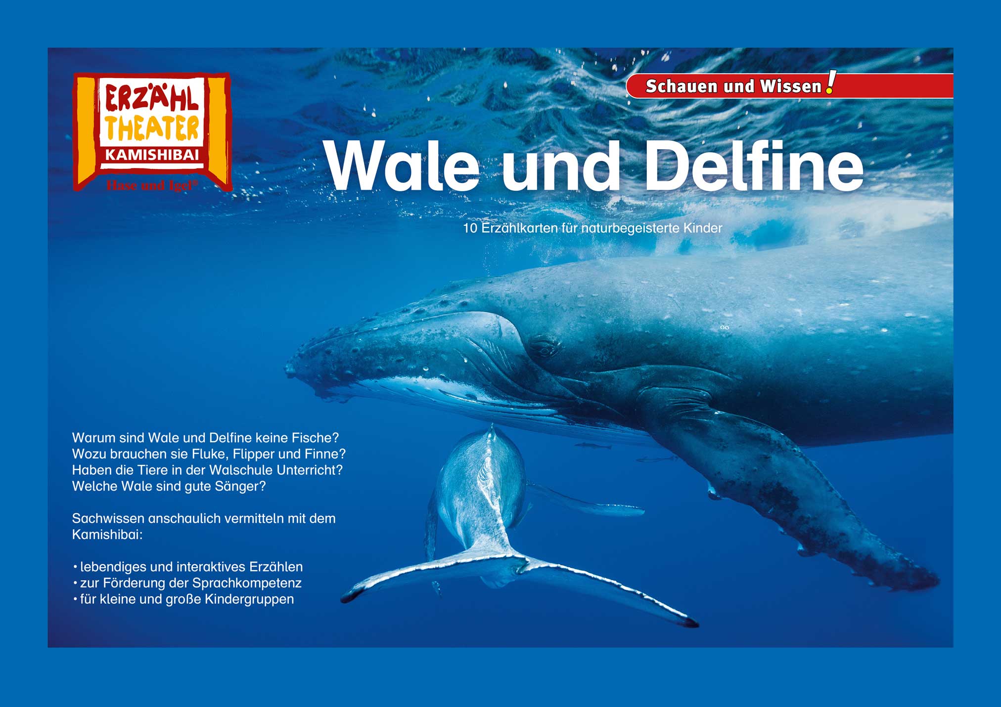 Wale und Delfine / Kamishibai Bildkarten