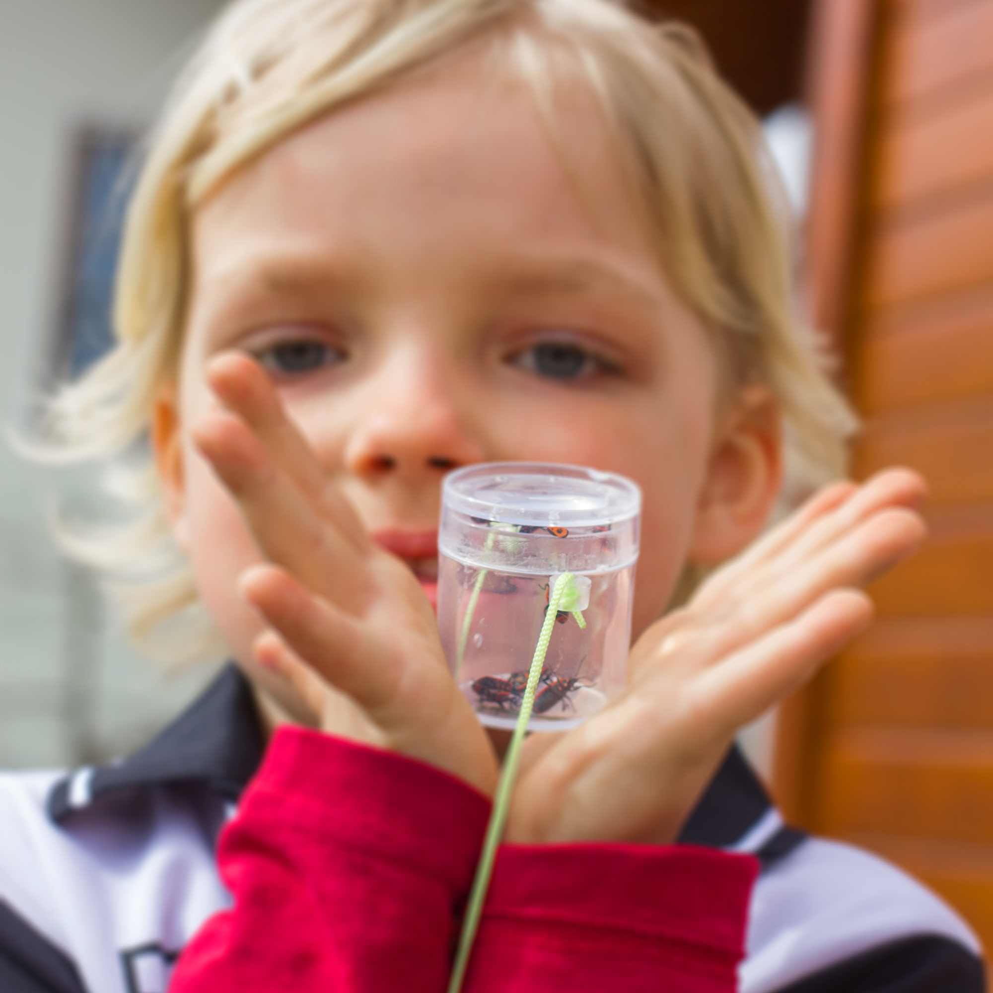 Mini-Lupendose zum Umhängen