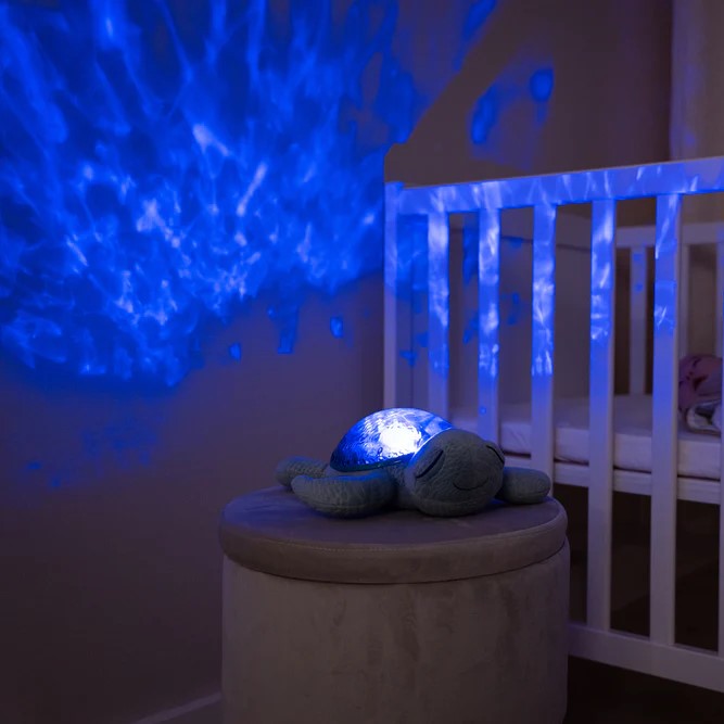 Traum-Schildkröte Oskar