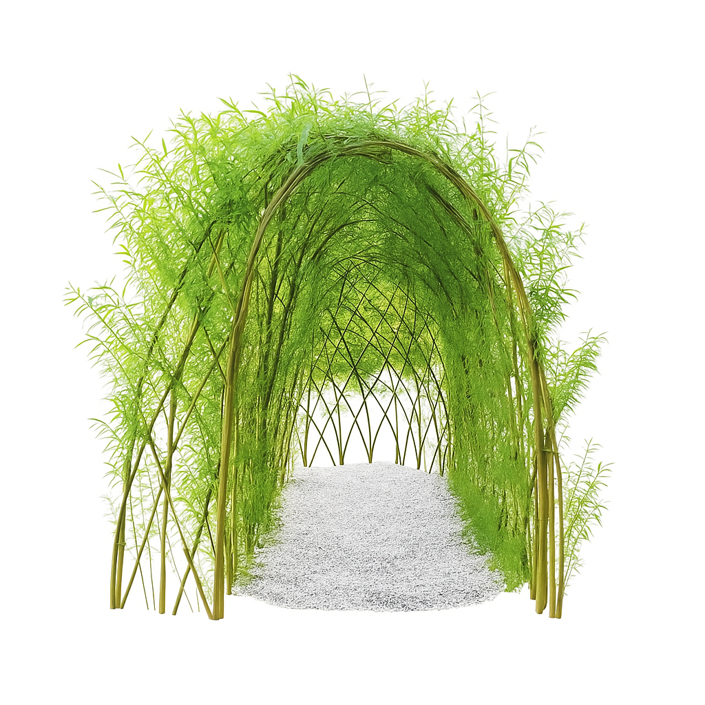 Weidenpflanzen für Weidentunnel (Set für einen 3 m Tunnel)