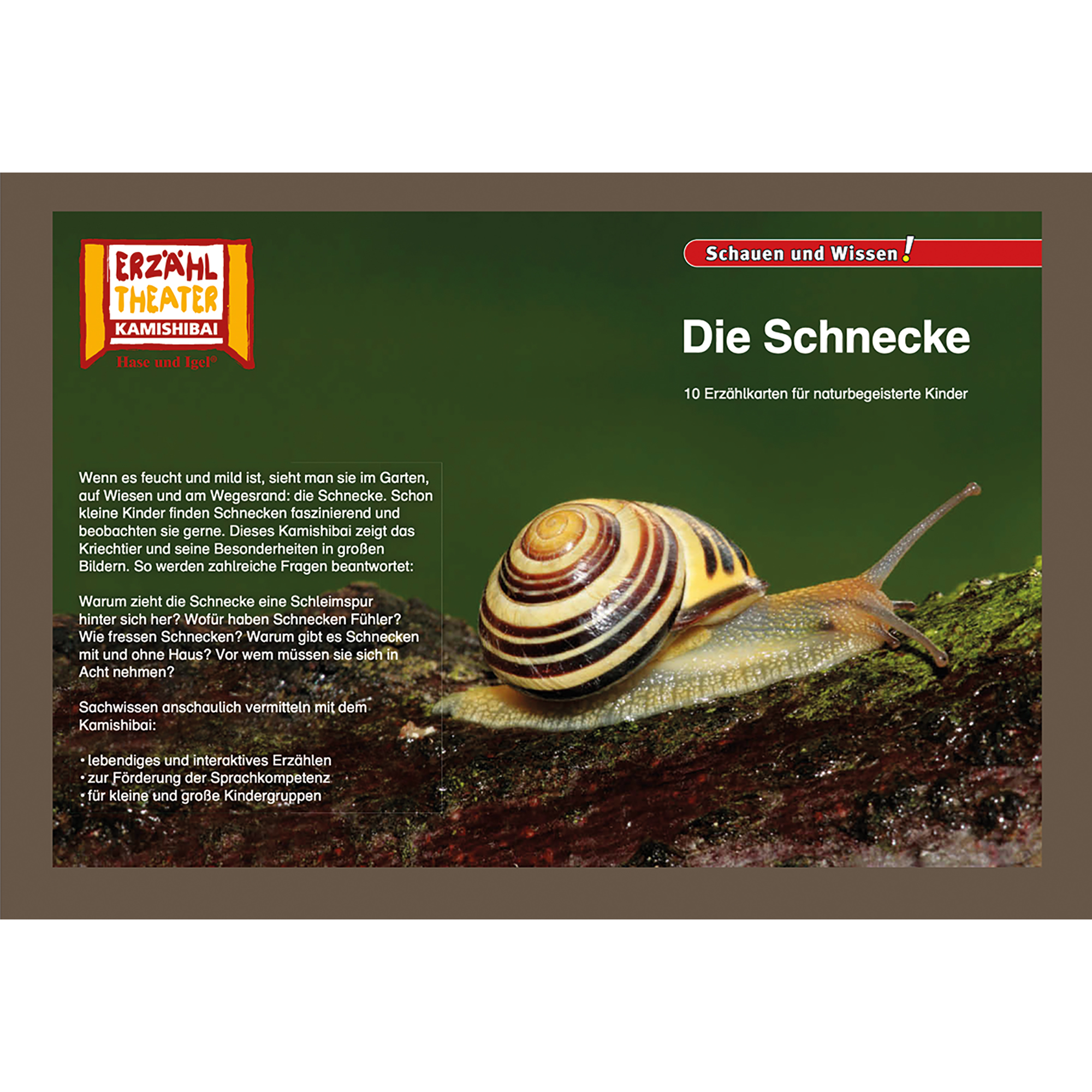 Die Schnecke / Kamishibai Bildkarten