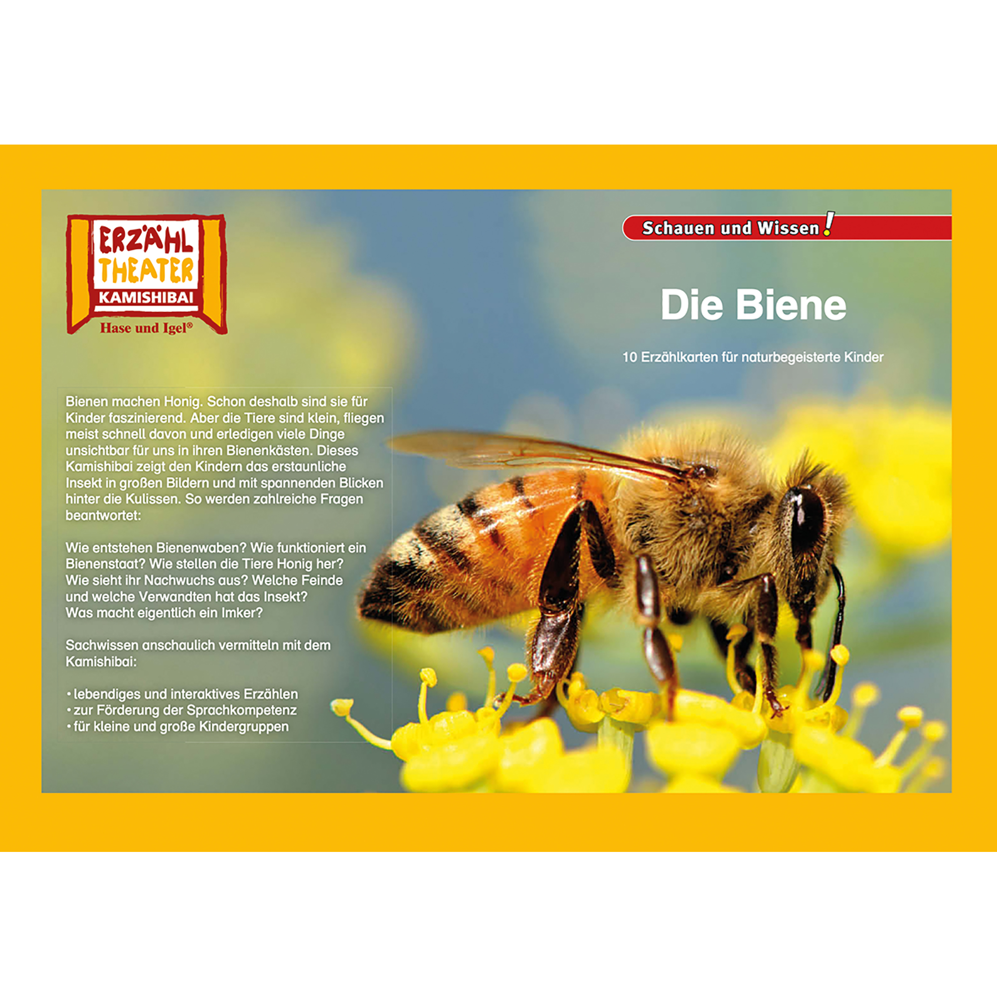 Die Biene / Kamishibai Bildkarten