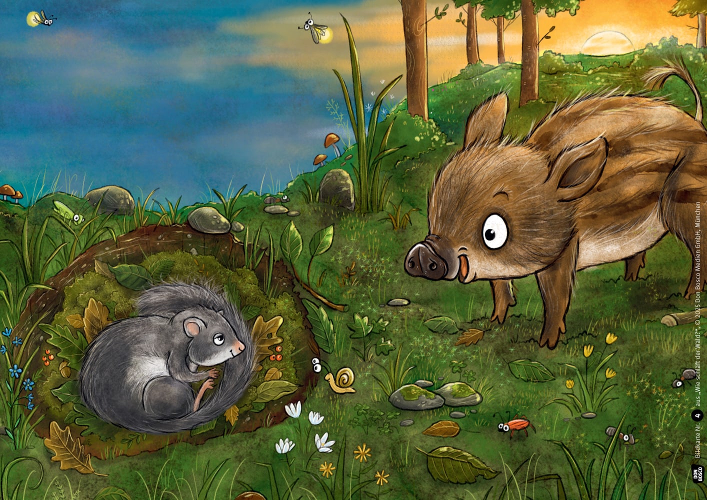 Wie schläft der Wald? Kamishibai Bildkartenset