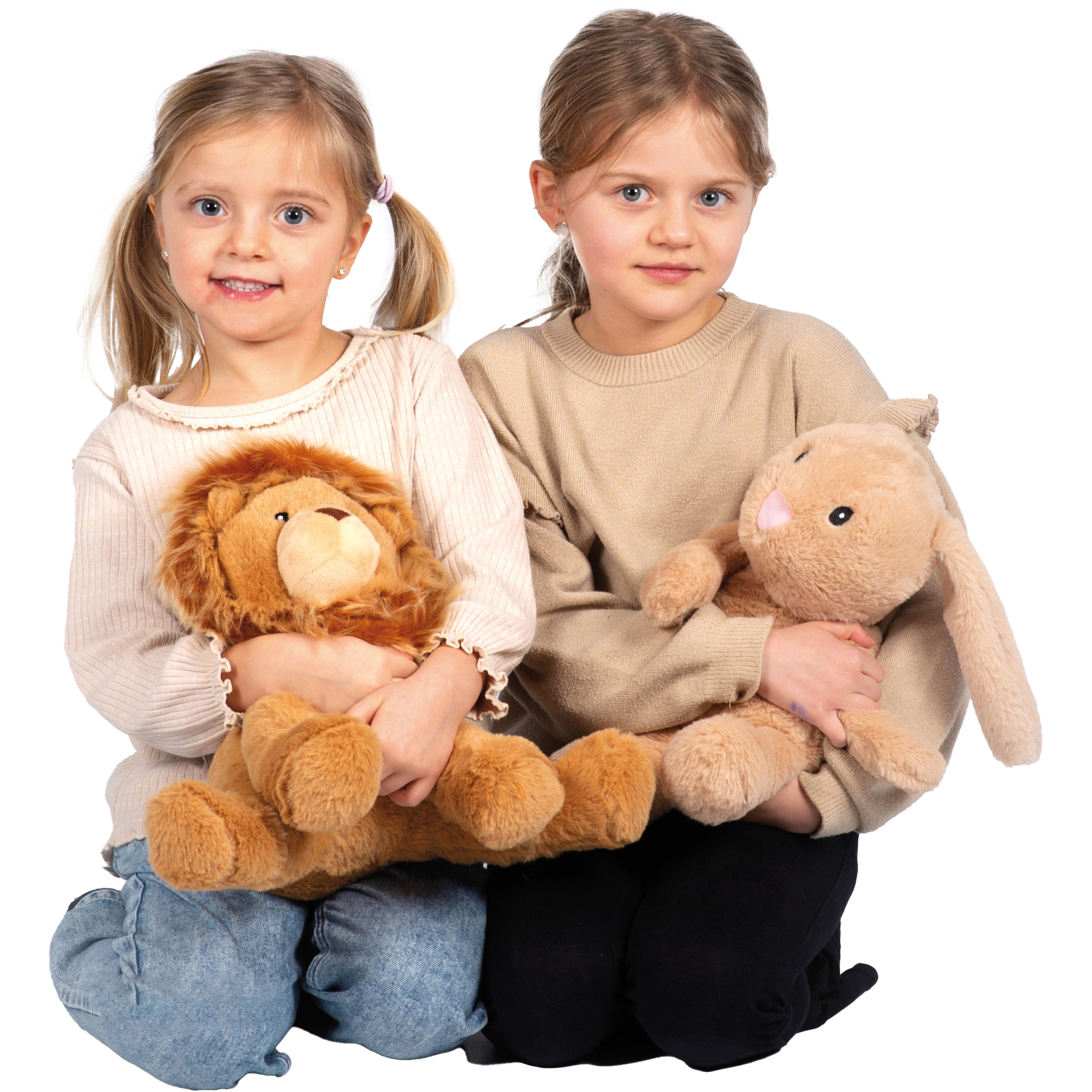 Gewichtstier Löwe Ludwig