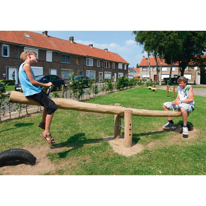 Robinie Wippe für 2 Kinder