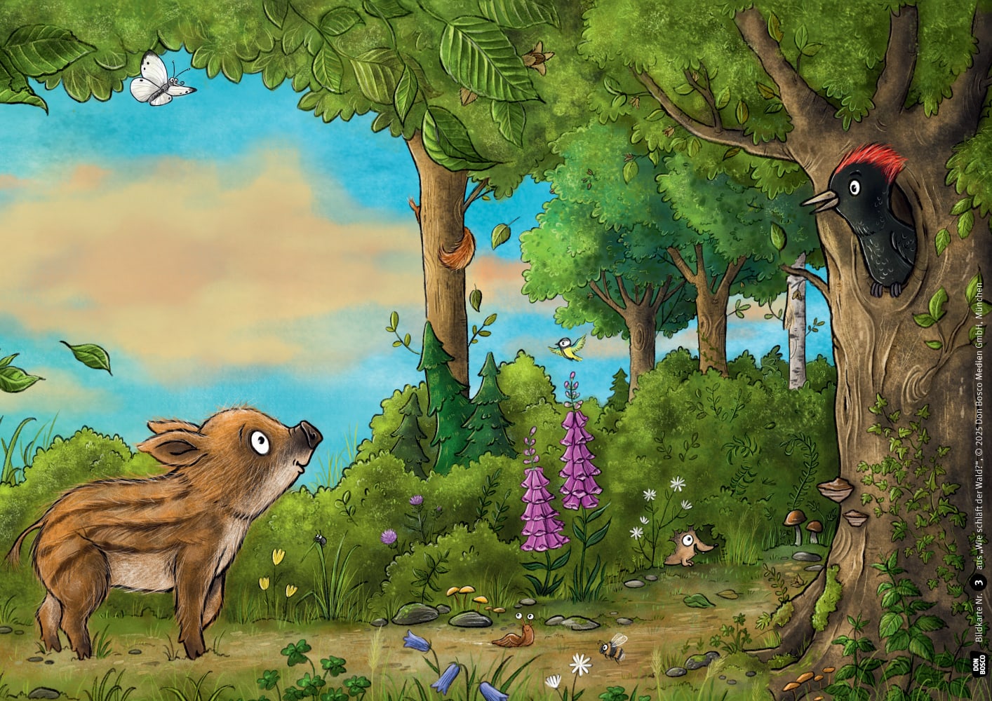 Wie schläft der Wald? Kamishibai Bildkartenset