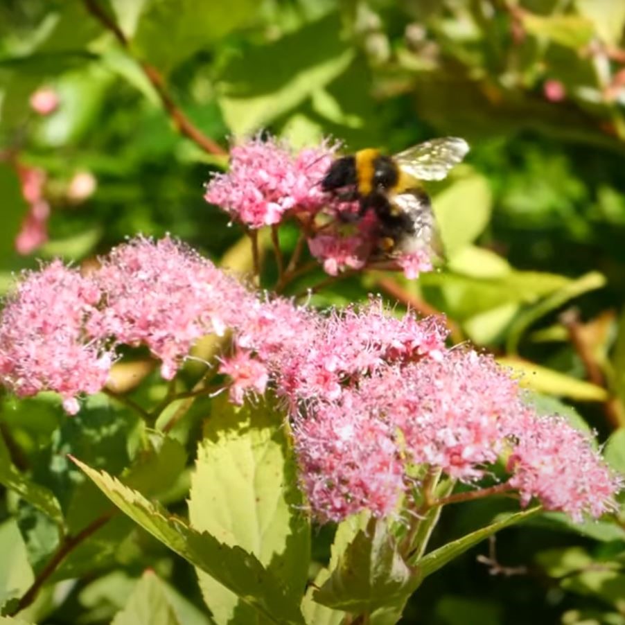 Traumreise Stick "Tansania, Winter & Wiese"