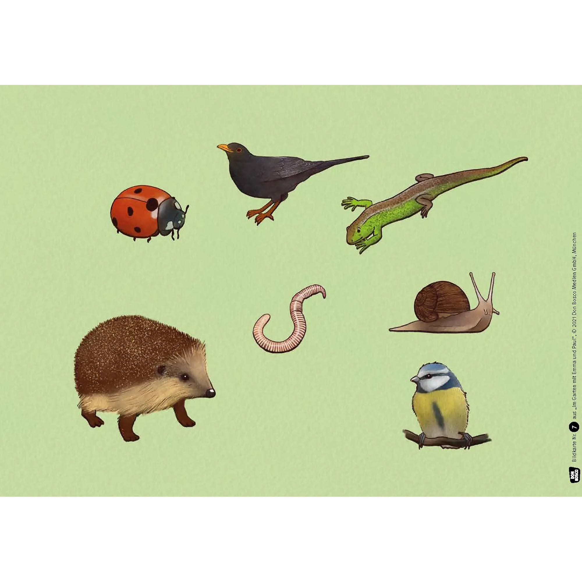 Im Garten mit Emma und Paul. Kamishibai Bildkartenset