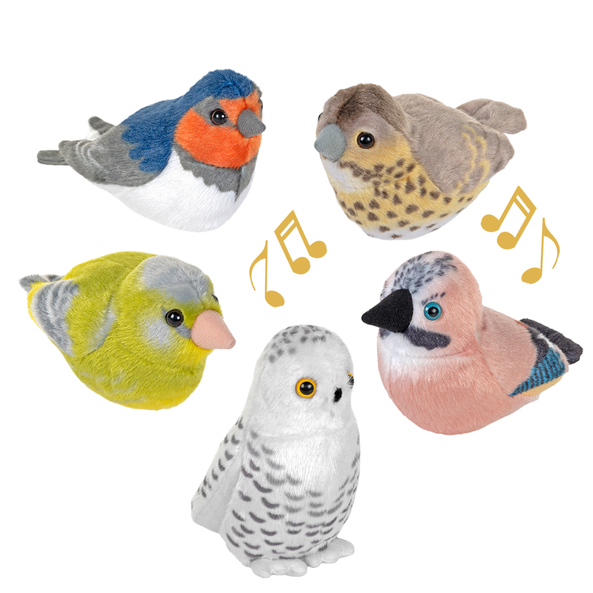 Singende Vögel Kuckuck