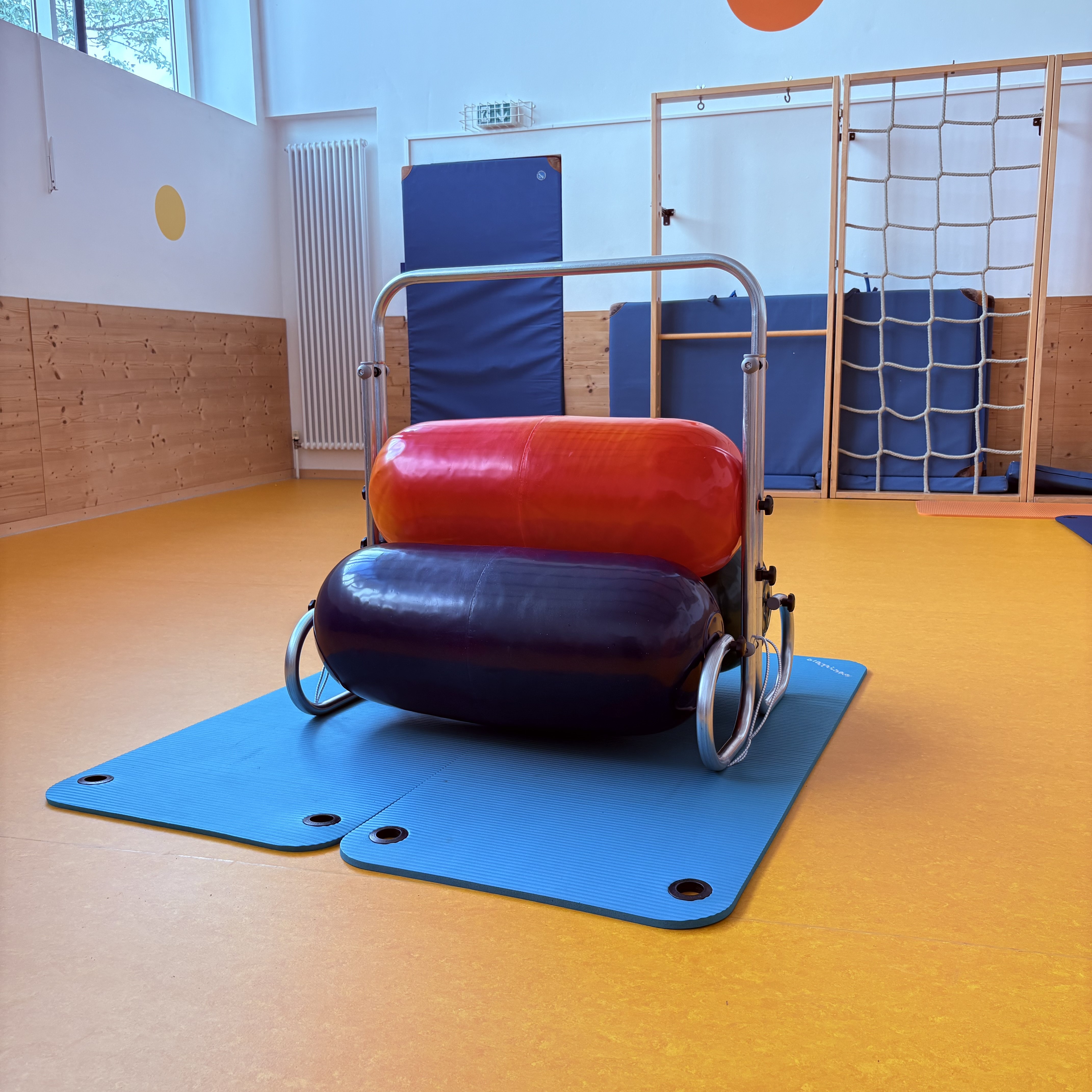 Senso Walze Körperwahrnehmung