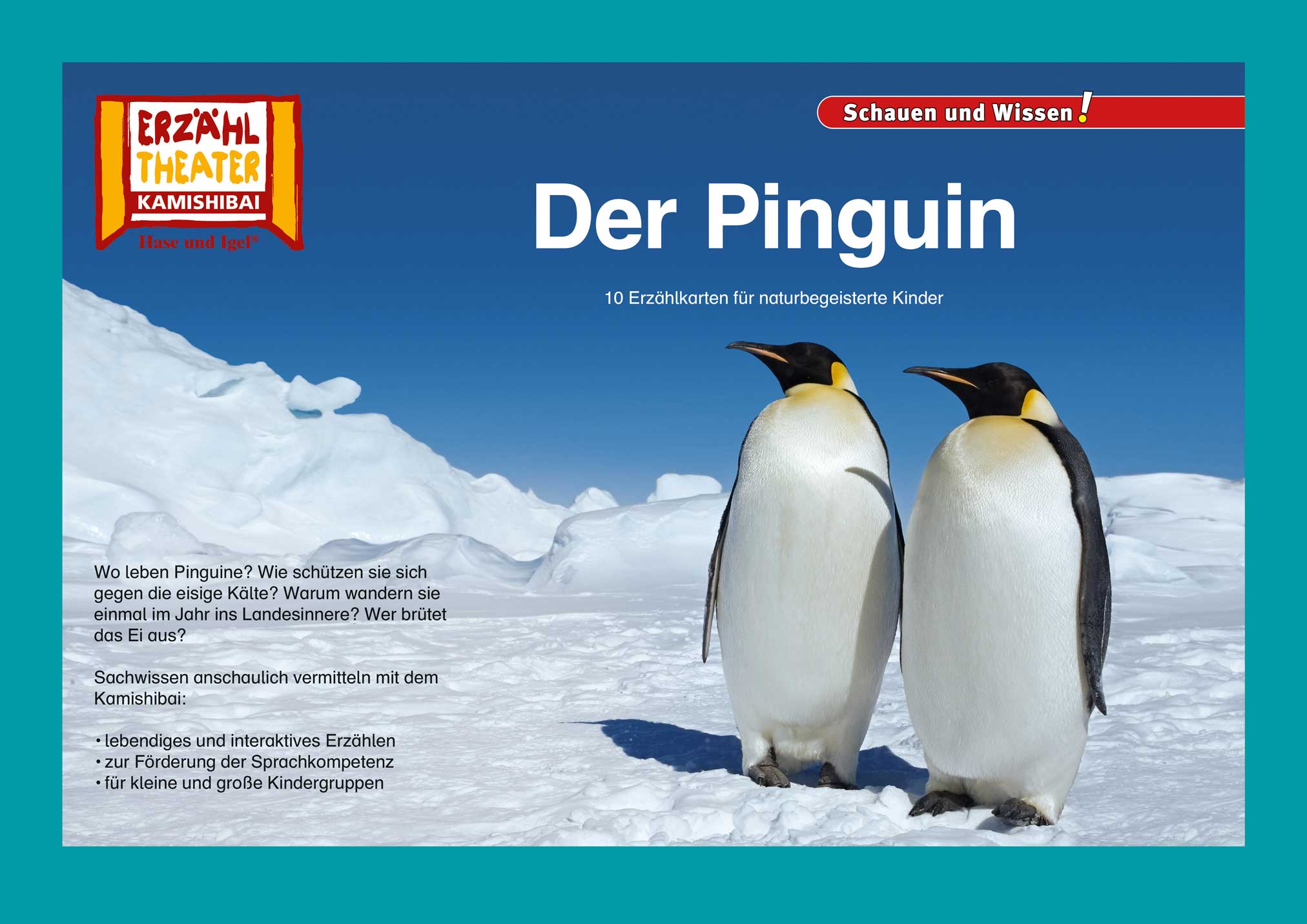 Der Pinguin / Kamishibai Bildkarten