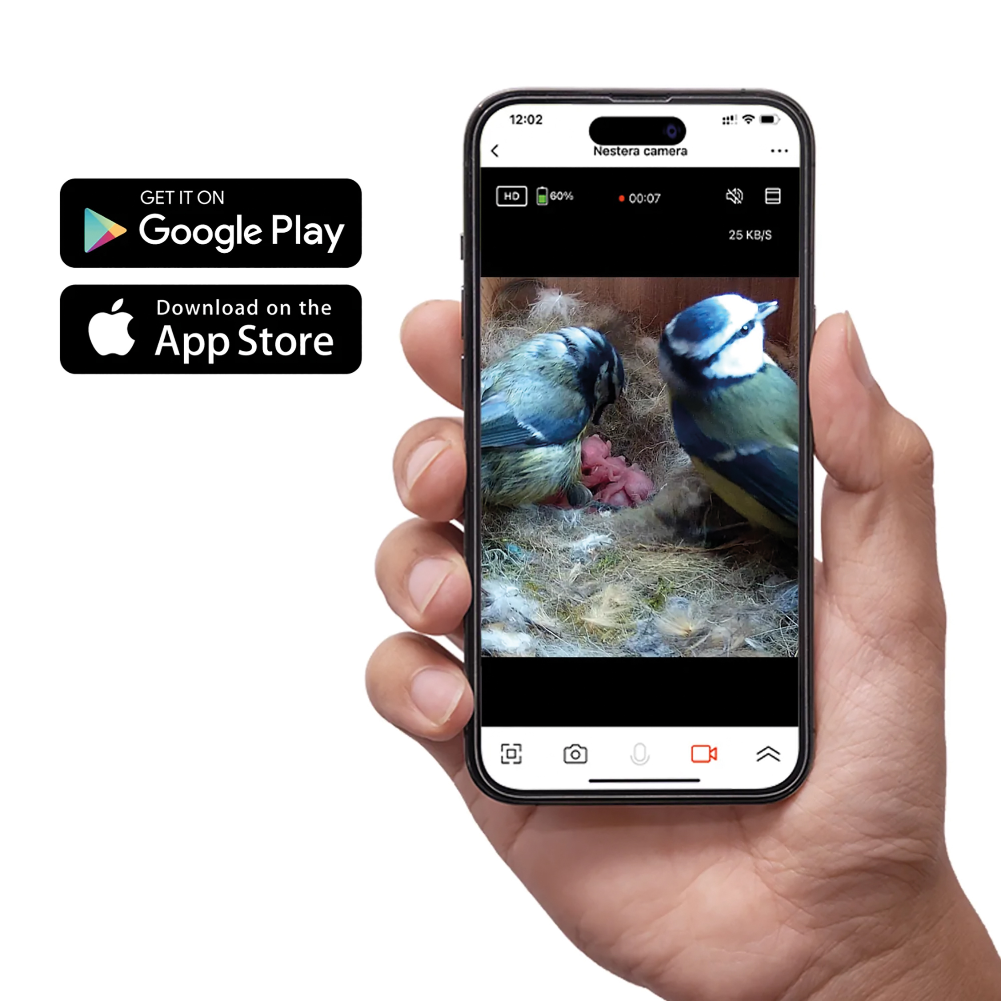 WiFi Nistkasten mit Kamera und Solarpanel