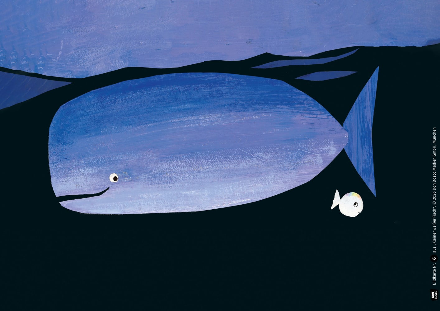 Kleiner weißer Fisch. Kamishibai Bildkartenset