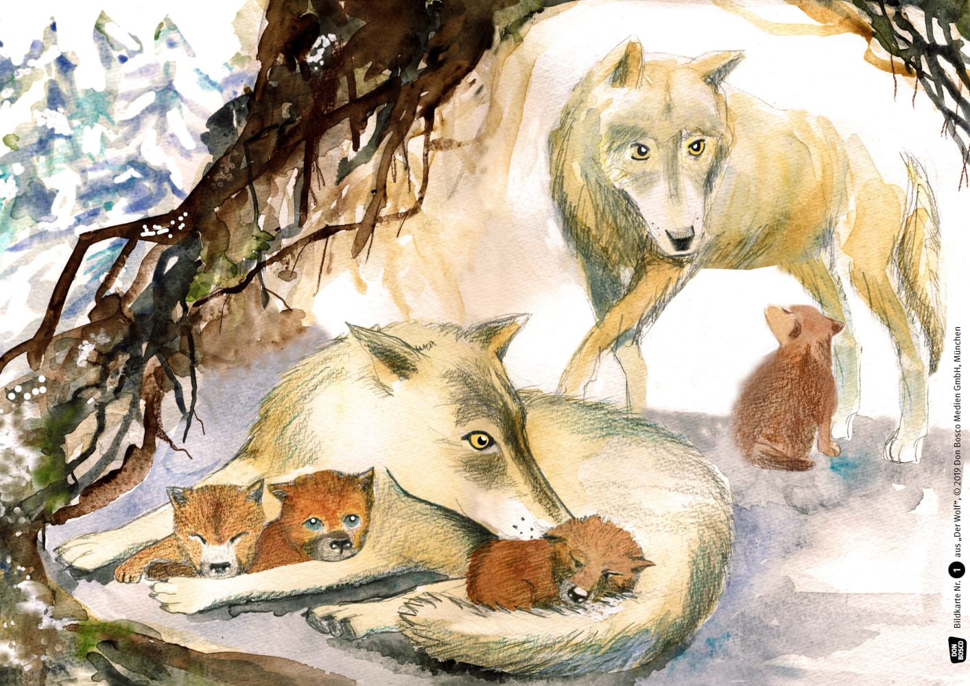 Der Wolf. Kamishibai Bildkartenset.