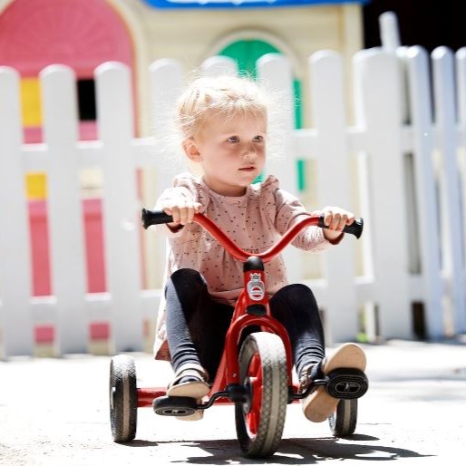 Mini Easy Rider Winther