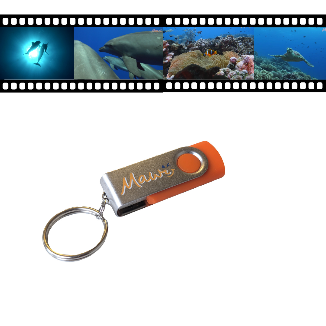 Traumreise Stick "Klang & Vision"