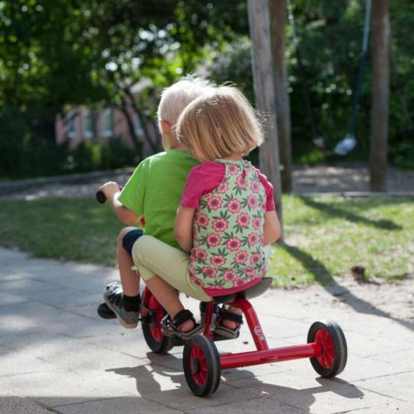 Mini Viking Taxi Winther