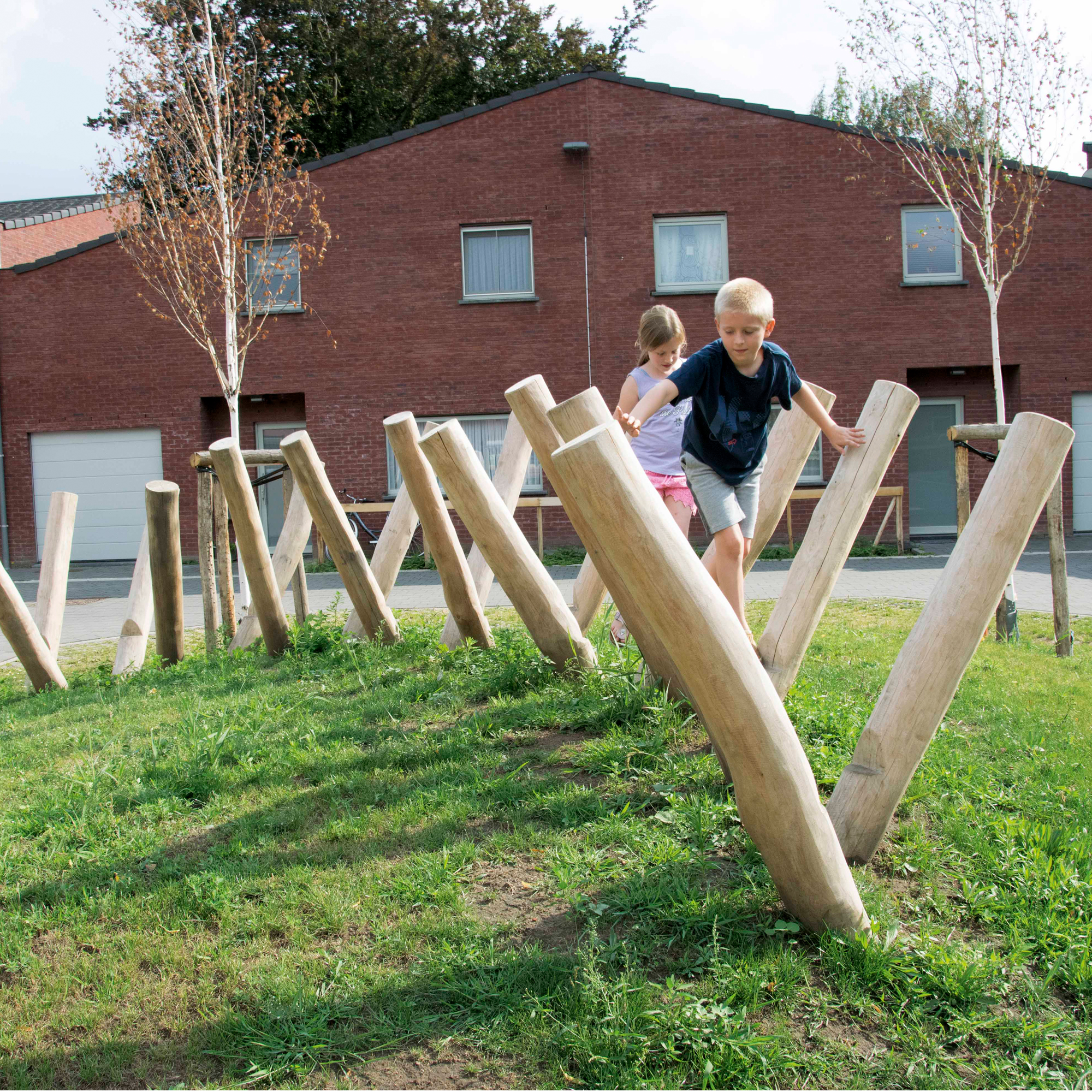 Robinie Die Schere 18 Pfosten