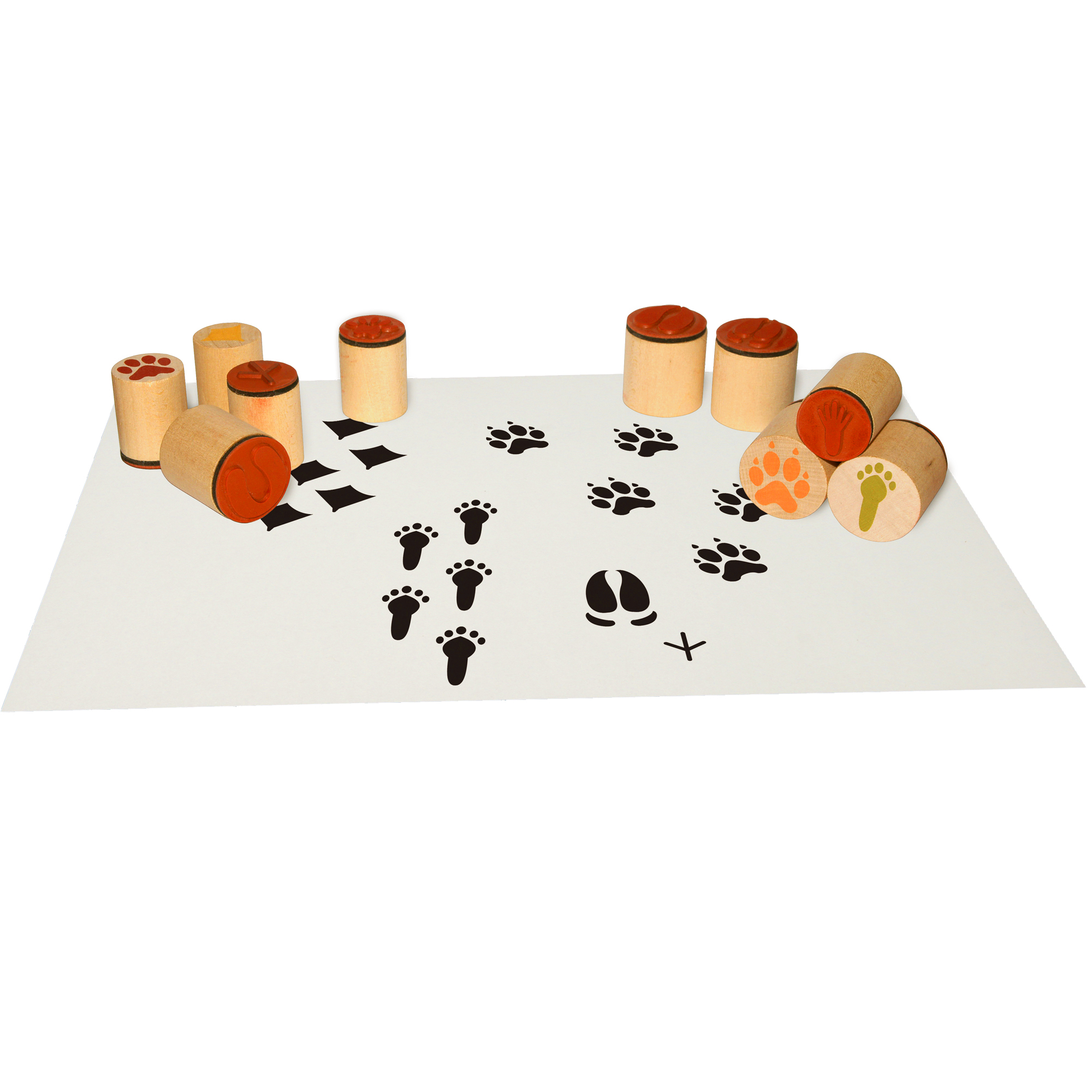 Holz-Tierspurenstempel Set
