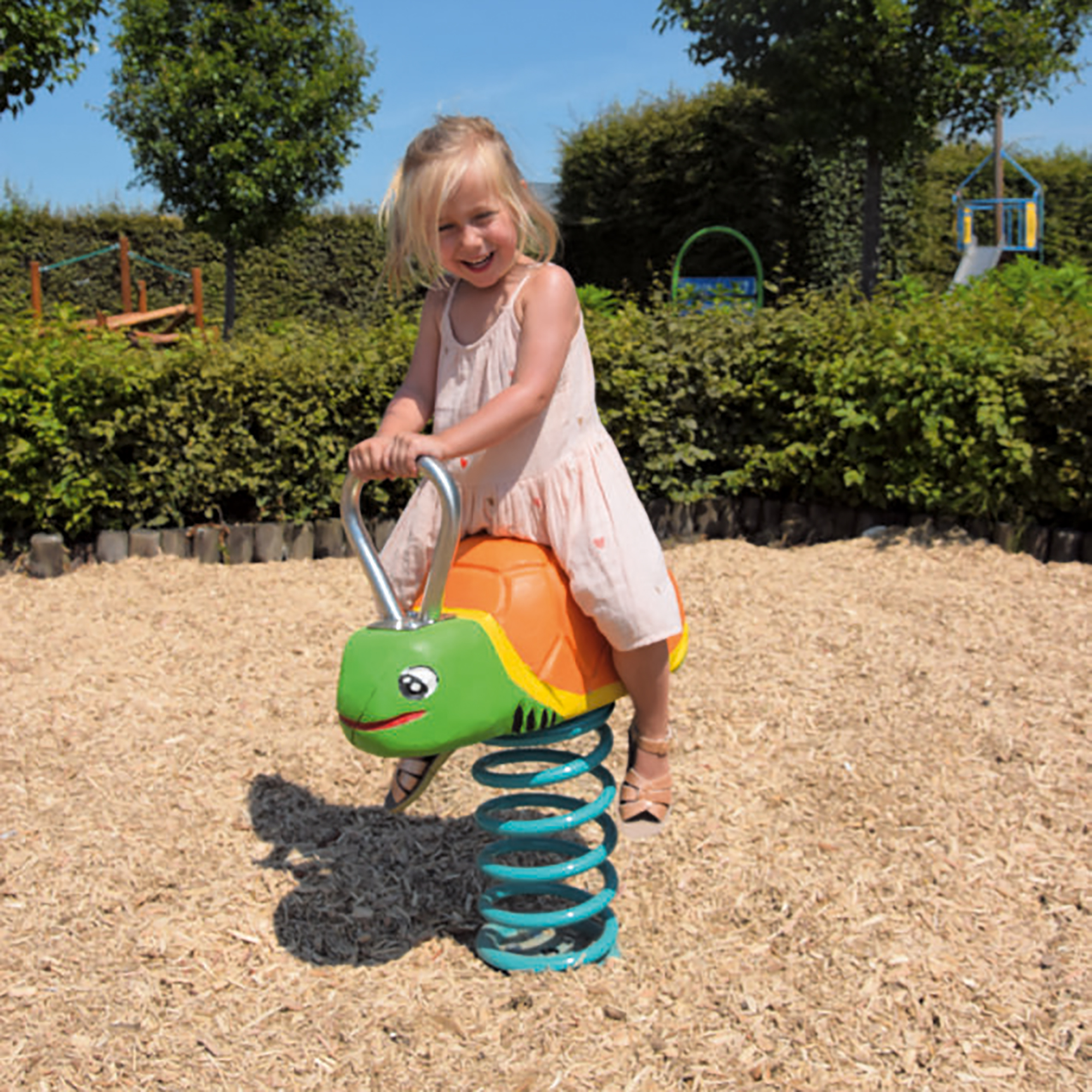 Robinie Federwipptier Schildkröte