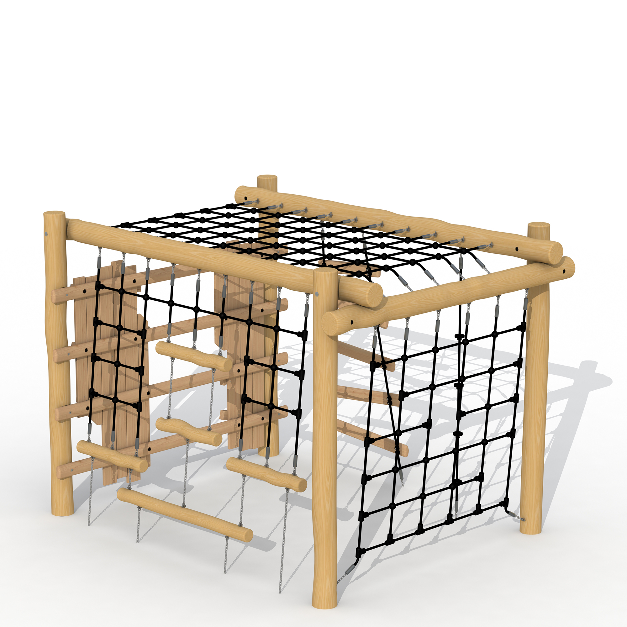 Robinie Schwalbennest